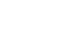 Dynamic development